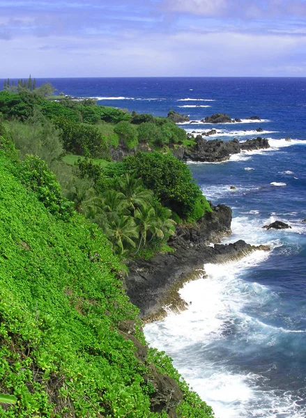 Hawaii Usa Fabriken — Stockfoto