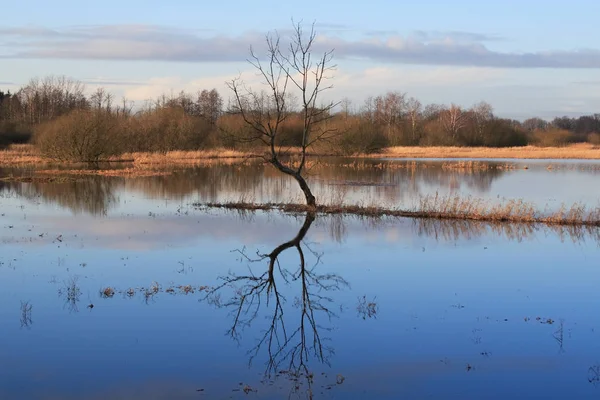 Schöne Aussicht Auf Die Natur — Stockfoto