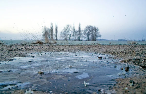 Pohled Zimní Scénu — Stock fotografie