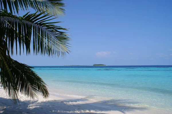 몰디브는 공식적으로 몰디브 공화국으로 남아시아의 섬나라이다 — 스톡 사진