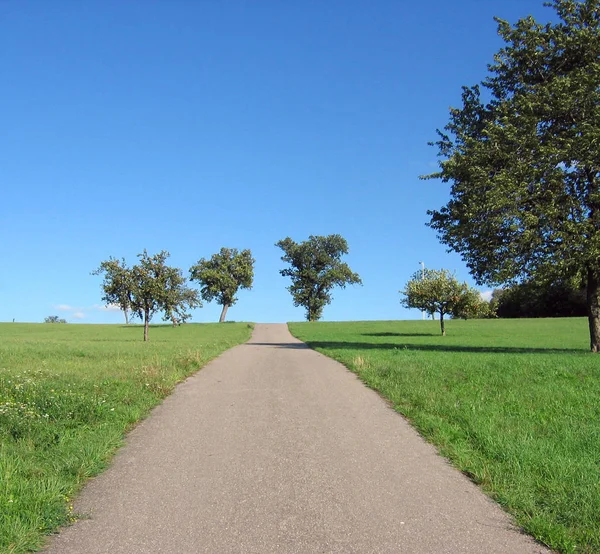 Vägen Landsbygden — Stockfoto