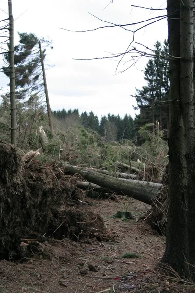 Dzień Cyril — Zdjęcie stockowe