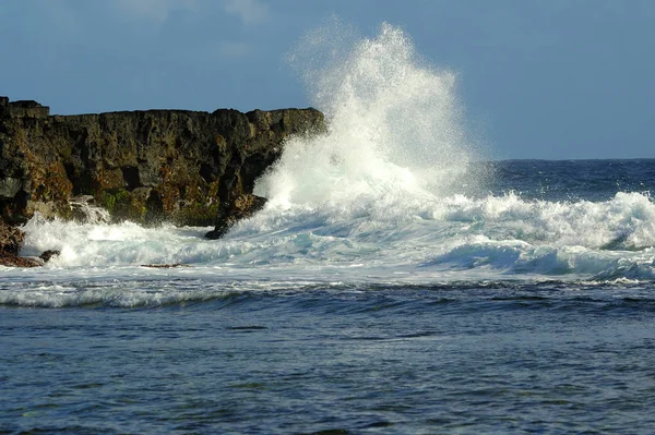 Rocha Surf — Fotografia de Stock
