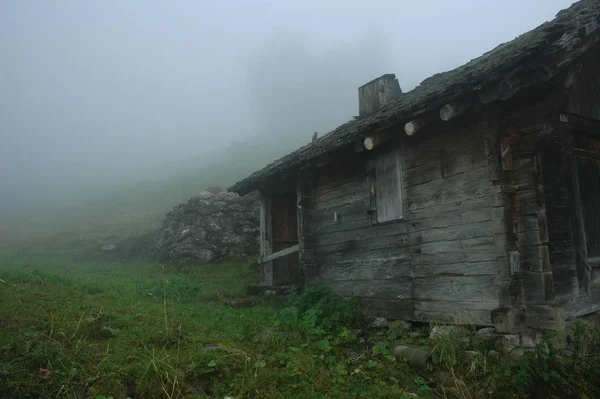 Niebla Tragaba Cada Sonido Los Pensamientos Estaban Con Pasado —  Fotos de Stock