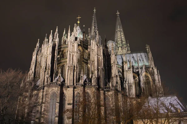 Cologne Καθεδρικός Ναός Από Πίσω — Φωτογραφία Αρχείου