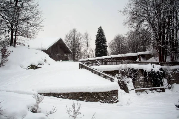Winter Landscape Lot Snow — Stock Photo, Image