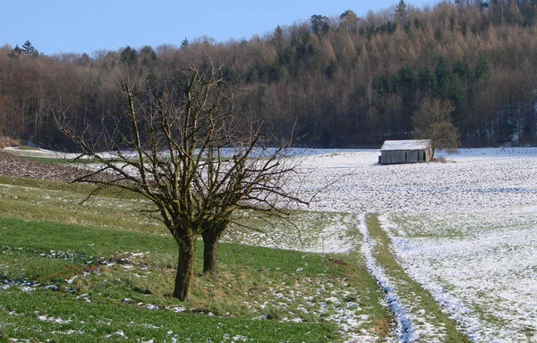 Malerischer Blick Auf Die Outdoor Szene — Stockfoto