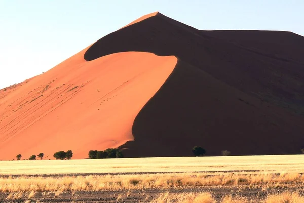 Scenic View Dunes Selective Focus — Stock Photo, Image