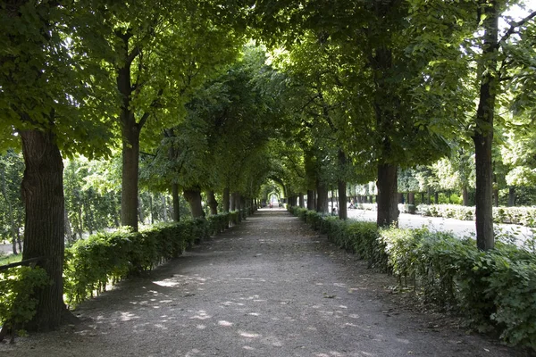 Vista Panoramica Del Viale Messa Fuoco Selettiva — Foto Stock