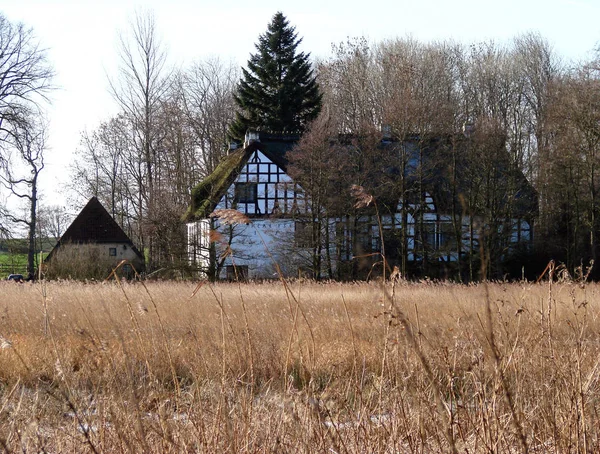 Vue Panoramique Sur Campagne Orientation Sélective — Photo