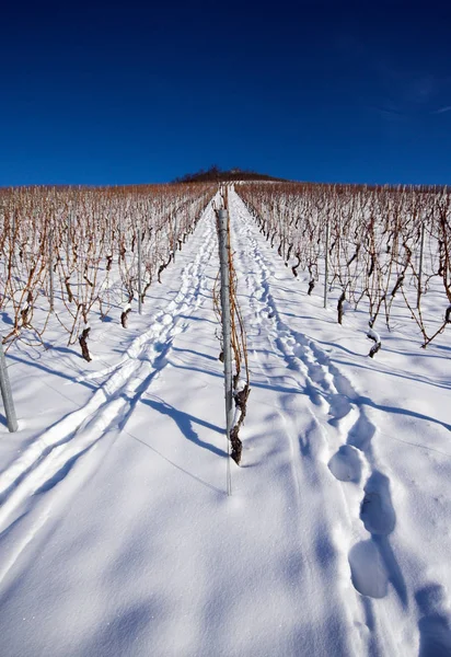 Vackert Snöigt Vinterlandskap — Stockfoto