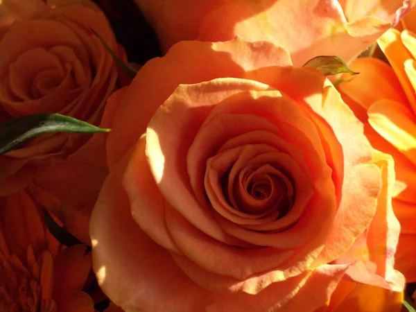 Fondo Colorido Para Tarjeta Del Día San Valentín — Foto de Stock