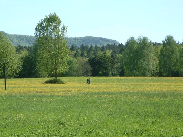 Vacker Utsikt Över Landsbygden — Stockfoto