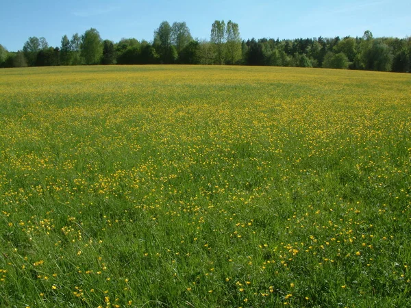 Vacker Utsikt Över Landskapet Landsbygden — Stockfoto