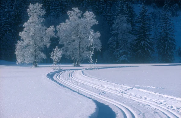 Traços Neve Bayrischzell — Fotografia de Stock