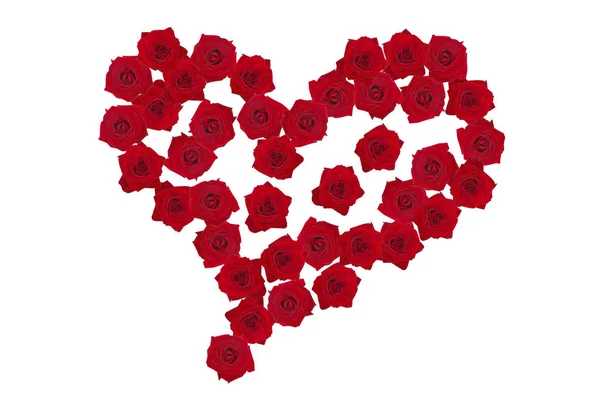 Asymetrické Srdce Rudých Růží — Stock fotografie
