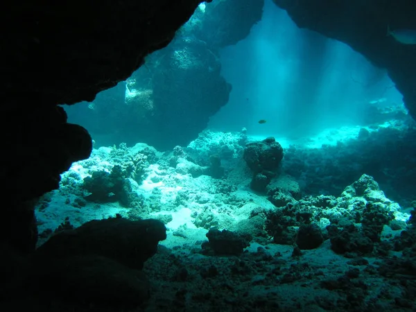 Υποβρύχιο Σπήλαιο Ανοιχτή Οροφή Υφάλου Στο Shaab Claudio Hamata Νότιο — Φωτογραφία Αρχείου