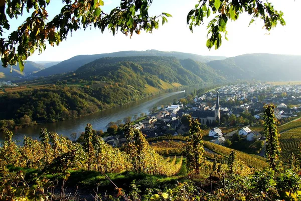 Vue Panoramique Sur Campagne Orientation Sélective — Photo