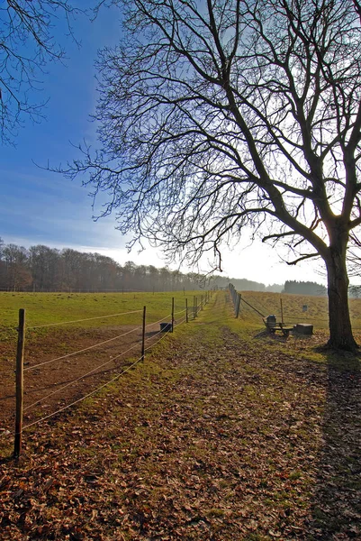 Zasněžená Zimní Krajina — Stock fotografie