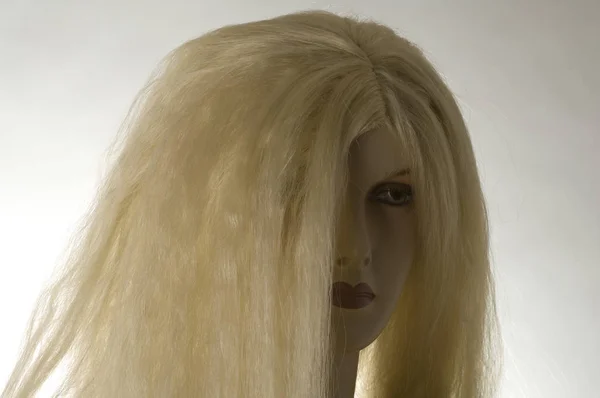Portrét Krásné Blondýny Dlouhými Vlasy — Stock fotografie
