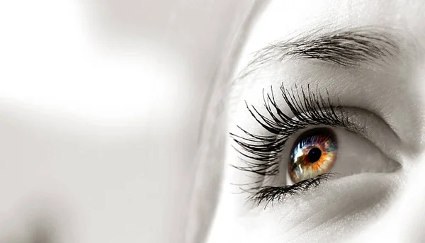 Close Human Eye — Stock Photo, Image