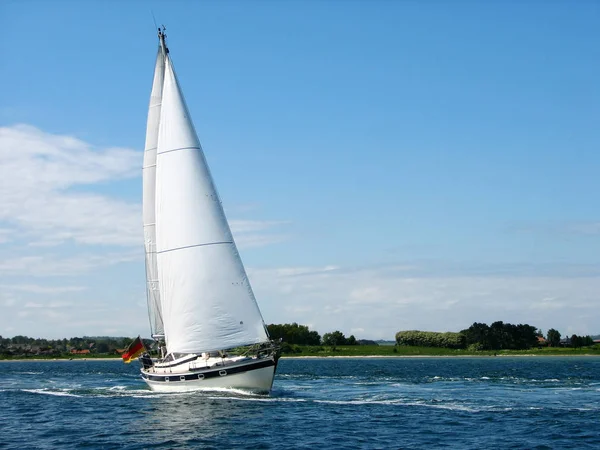 Particularly Beautiful Sailing Reed Schlei — Stock Photo, Image