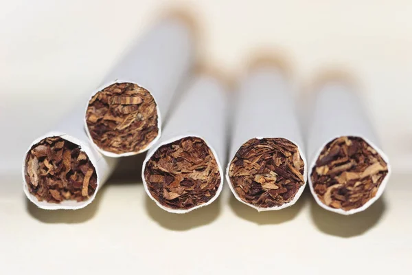 Cigarros Fundo Branco — Fotografia de Stock