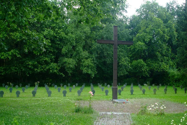 Vojenský Hřbitov Lesem Pozadí — Stock fotografie