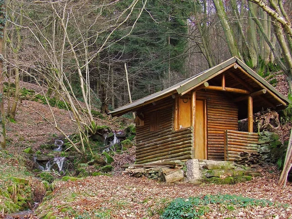 Cabane Forêt Sur Ruisseau — Photo