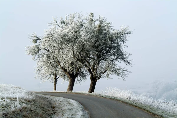 Piękny Śnieżny Krajobraz Zimowy — Zdjęcie stockowe