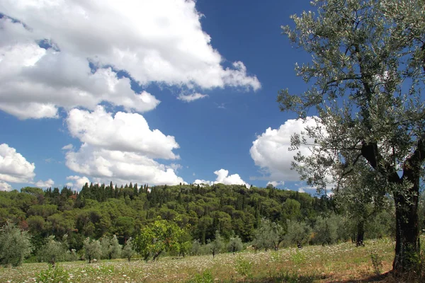 Tuscany Region Central Italy — Stock Photo, Image