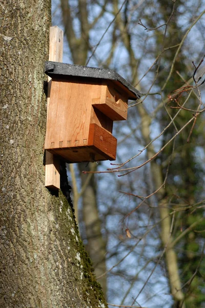 Beieren Grootste Duitse Staat Landoppervlakte Ongeveer Een Vijfde Van Totale — Stockfoto