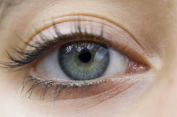 Oog Van Een Vrouw — Stockfoto