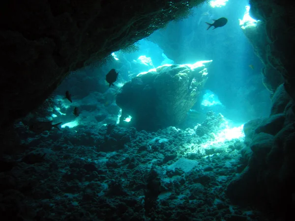 Marine Theme Wallpaper Underwater Shot — Stock Photo, Image