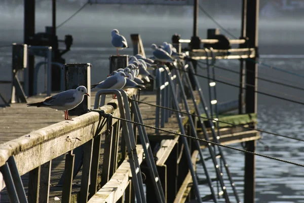 Malerischer Blick Auf Den Schönen Hafen — Stockfoto