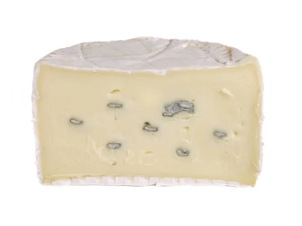 Food Konzept Leckerer Käse — Stockfoto