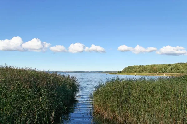 Fotot Visar Från Den Stora Jasmund Ralswiek — Stockfoto