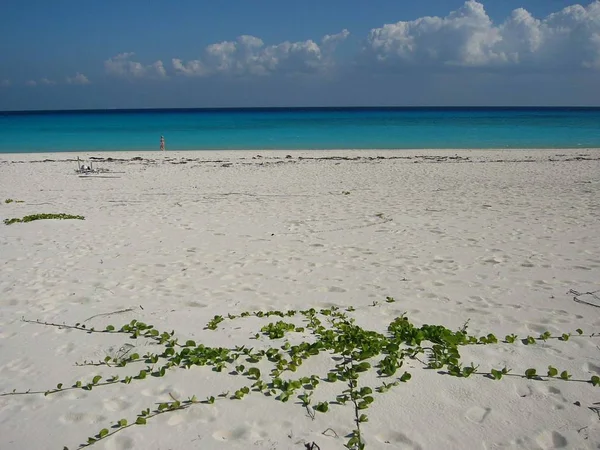 Malowniczy Widok Wymarzonej Plaży — Zdjęcie stockowe