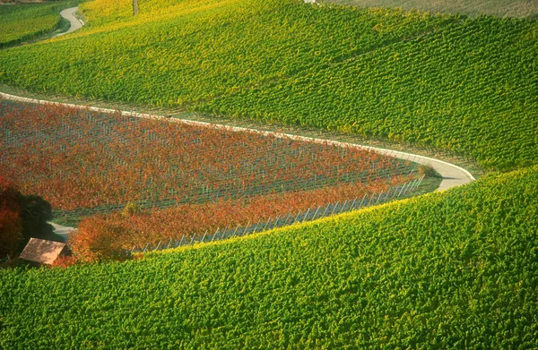 Bayern Ist Ein Binnenstaat Deutschland — Stockfoto