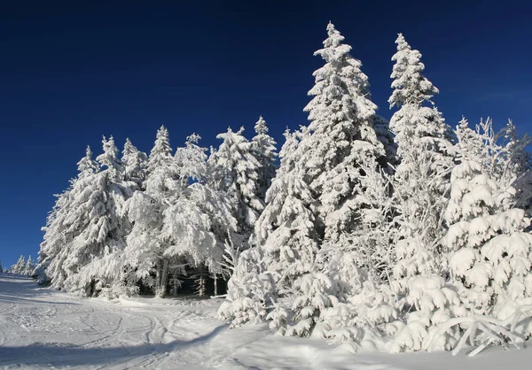 Kleurrijke Achtergrond Voor Kerst Nieuwjaar Vakantie Kaart — Stockfoto