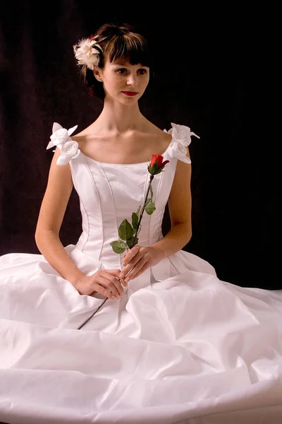Seated Bride Rose — Stock Photo, Image