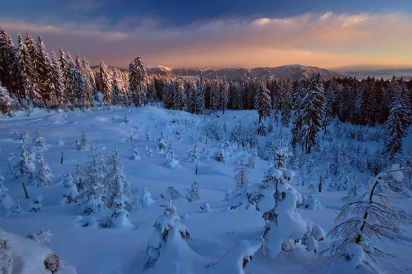 Vista Panorámica Del Hermoso Paisaje Los Alpes —  Fotos de Stock