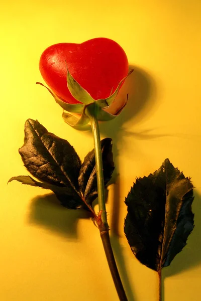 Sfondo Colorato Biglietto Visita San Valentino — Foto Stock