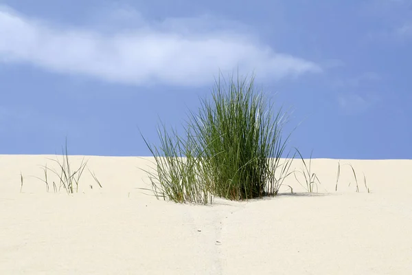 Pittoresk Uitzicht Buitenwereld — Stockfoto