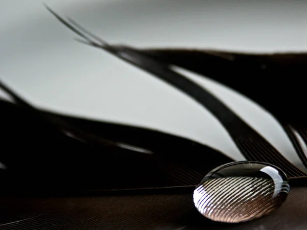 Liquid Water Drops Rain Drops — Stock Photo, Image