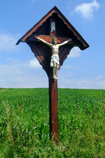 野原の木の十字架 — ストック写真