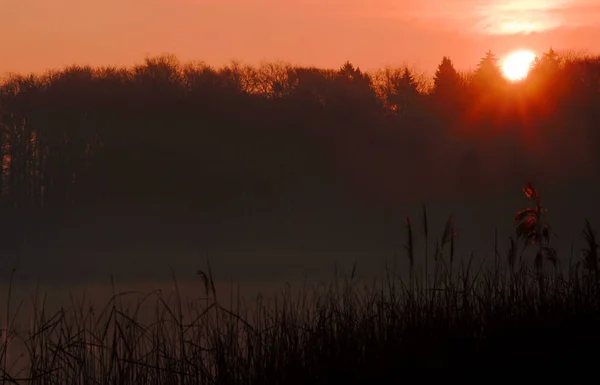 Morning Lake — Stock Photo, Image