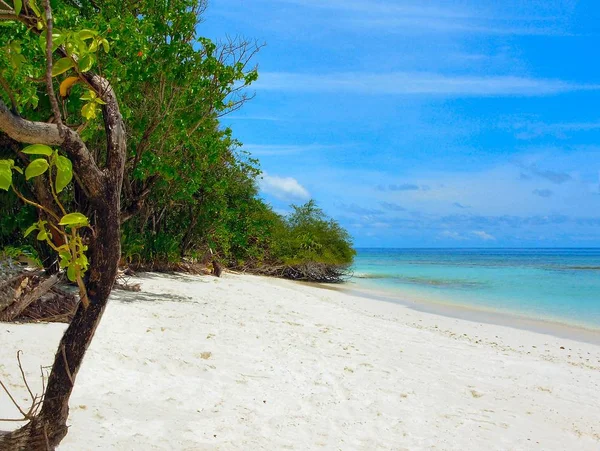 Paraíso Vacaciones Maldivas Isla — Foto de Stock