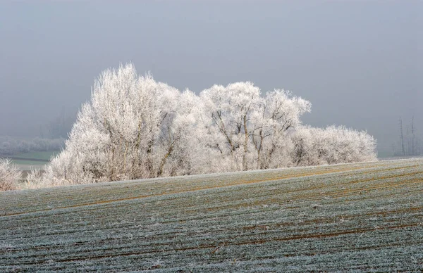 View Winter Scene Stock Photo