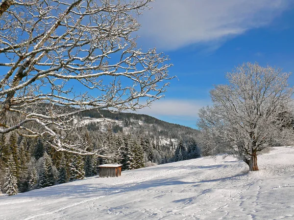 Prachtig Besneeuwd Winterlandschap — Stockfoto